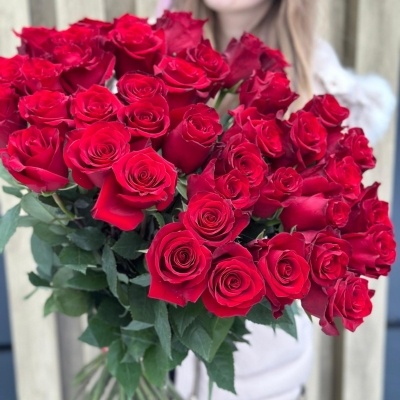 Букет из 31 красных роз Эксплорер 60-70 см под ленту 